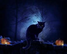 Image result for Halloween Cat