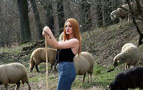 Image result for Sheep Girl Beep