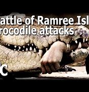 Image result for Ramree Island Crocodile Attack