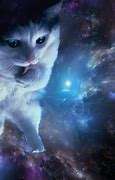 Image result for Kitten Space Cats Background