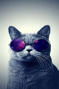 Image result for Galaxy Wallpaper Colorful Space Cat