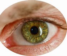 Image result for Red Eye Beam PNG