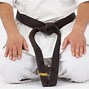 Image result for 5 Stances in Karate