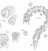 Image result for Terraria Boss Ideas