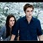 Image result for Twilight Saga