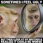 Image result for Monkey Summer Chillin Meme