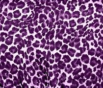Image result for Purple Animal Print