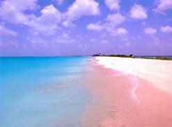 Image result for Best Island in Bahamas