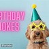 Image result for Funny Birthday Insults