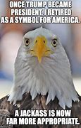 Image result for Eagle Staring Meme