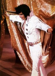Image result for Elvis Presley Jumpsuit Cape