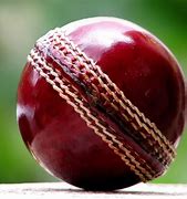 Image result for Cricket Ball Sports