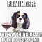 Image result for Reminder Dog Meme