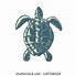 Image result for Turtle Stencil Designs