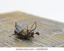 Image result for Real Computer Bug