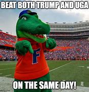 Image result for Florida Gators Football Memes