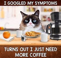 Image result for Funny Cat I Need Coffee