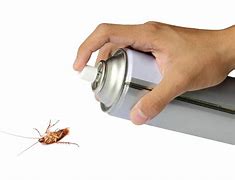 Image result for Do My Own Pest Control