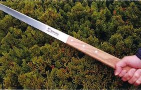 Image result for Serrated Knife for Trees