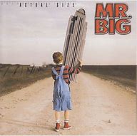 Image result for Mr. Big CD
