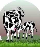 Image result for Cow-Calf PNG