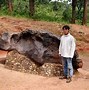 Image result for Batu Meteor