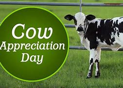 Image result for Happy Cow Day