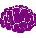 Image result for Colorful Brain Icon