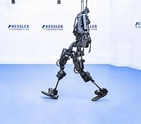 Image result for Spine Exoskeleton