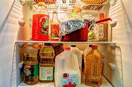 Image result for Personal Mini Fridge