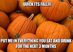 Image result for Fall Is Coming Funny
