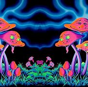 Image result for psychedelic mushrooms wallpapers