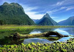 Image result for Lehigh Valley New Zealand