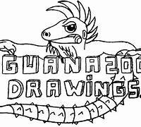 Image result for Iguana Cartoon