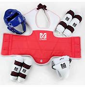 Image result for Expensive Taekwondo Sparring Gear