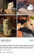 Image result for Funny Posts Twitter Screenshots