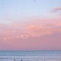 Image result for Pink Sky with Rainbow