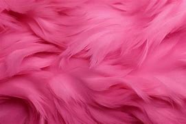 Image result for Hot Pink Texture