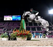 Image result for Show Jumping