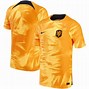 Image result for Dutch National Team Shirt Coolest