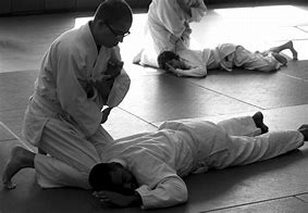 Image result for Aikido Martial Arts Techniques