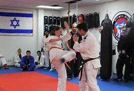 Image result for Israeli Martial Arts
