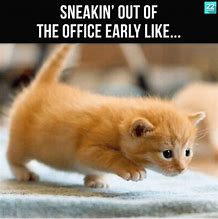 Image result for Funny Work Memes Office