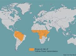 Image result for 1793 Philadelphia Yellow Fever Epidemic