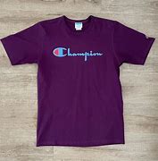 Image result for Chase Elliott Champion Shirt