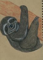 Image result for Sloth Painting