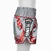 Image result for Muay Thai Shorts