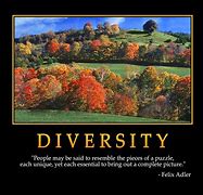 Image result for Diversity Quota Funny
