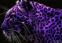 Image result for Black and Purple Cat Wallpaper