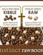 Image result for Grain-Free Cat Food